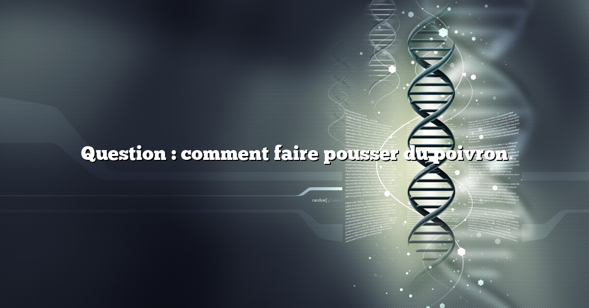 Question : comment faire pousser du poivron